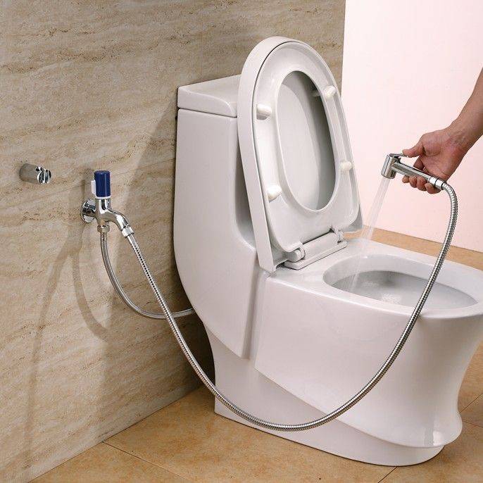 Qu'est-ce qu'une douche hygiénique - comment choisir un robinet de toilette ou de bidet, les méthodes d'installation et les prix