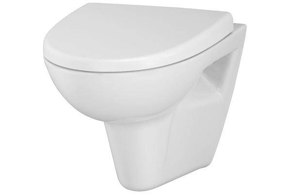 Comment choisir une installation de toilettes : un aperçu des conceptions et des conseils avant d'acheter