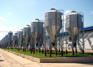 Nous fabriquons du biocarburant de nos propres mains : biogaz à partir de fumier, éthanol pour biocheminée + granulés