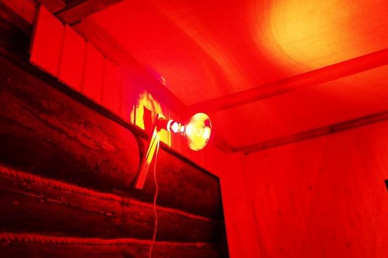 Lampes infrarouges domestiques : comment choisir une ampoule infrarouge + revue des meilleurs fabricants