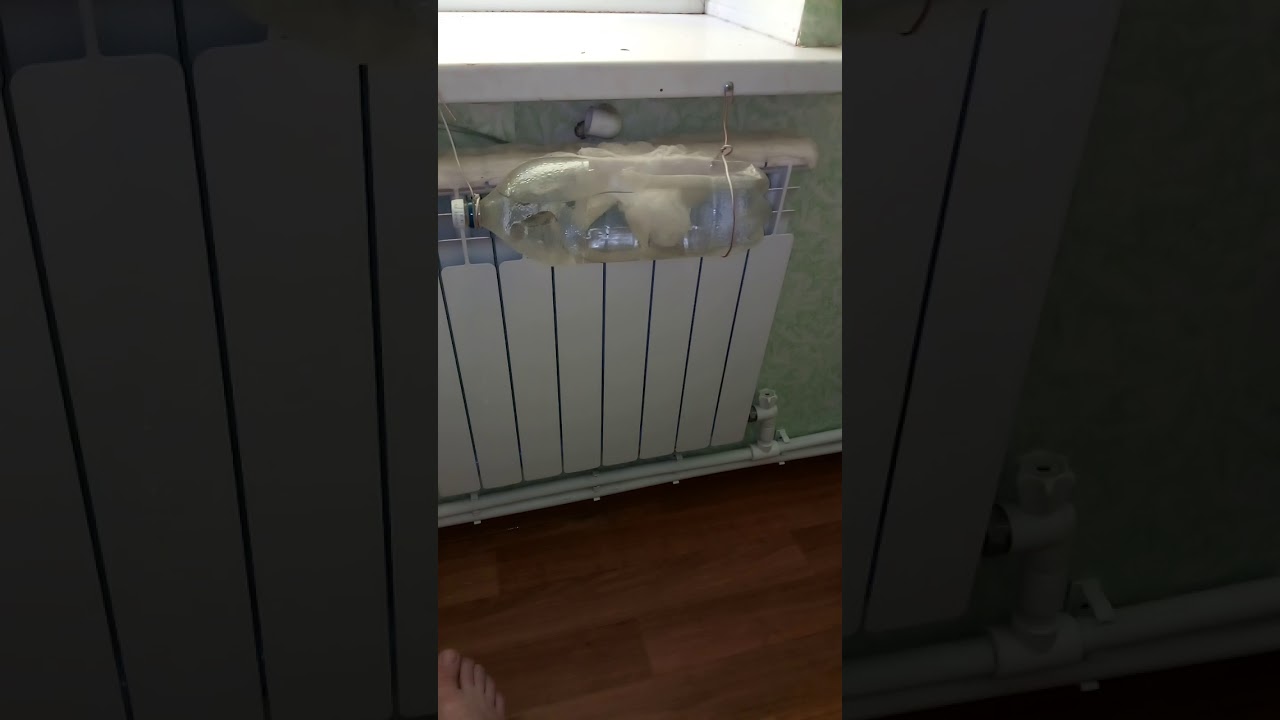 Façons d'humidifier l'air dans une pièce sans humidificateur | Conseil d'Expert