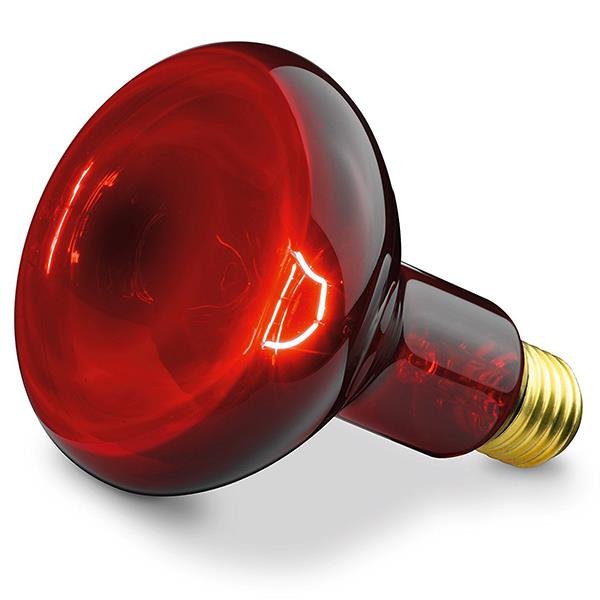 Lampe infrarouge: structure et types d'ampoules infrarouges, options pour leur utilisation à l'intérieur et à l'extérieur