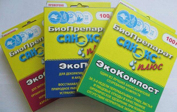 Quel est le meilleur remède contre les fosses d'aisance : un aperçu des bactéries vivantes, des antiseptiques et de la chimie