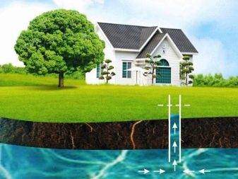 Technologie et subtilités du forage à la tarière