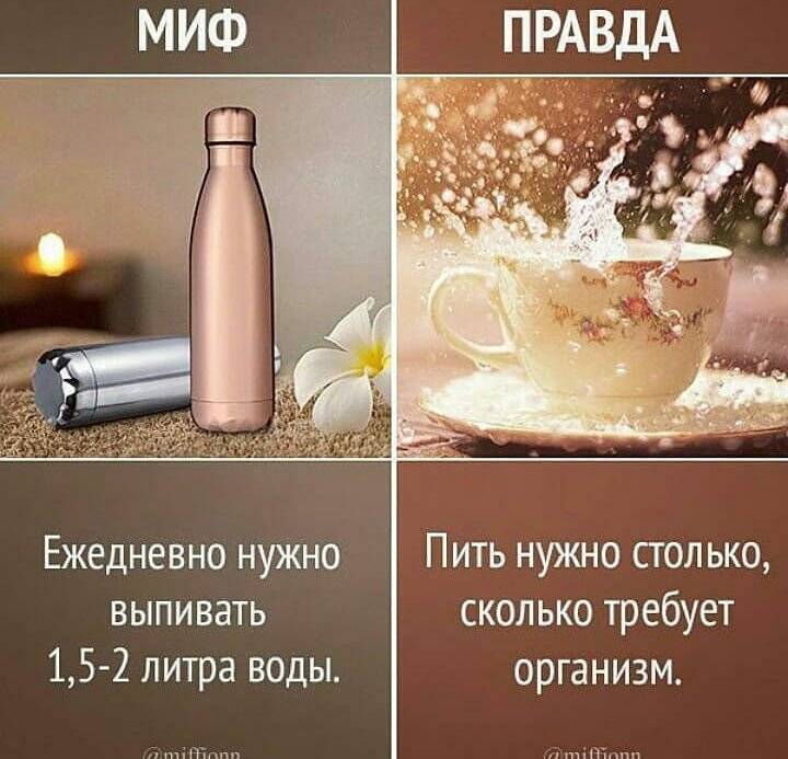 Pourquoi les adultes ne devraient pas boire de lait : vérité ou mythe