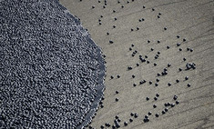 Des millions de balles en plastique noir jetées dans le réservoir de Los Angeles pour lutter contre la sécheresse