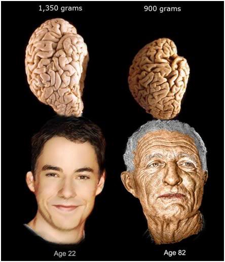 Ne laissez pas votre cerveau vieillir : 8 façons de "garder la tête haute"