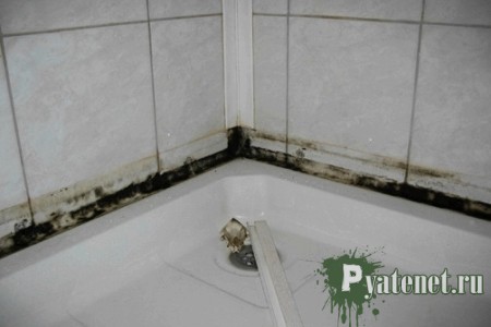 Comment bien entretenir une cabine de douche - avec quels moyens et comment la laver?