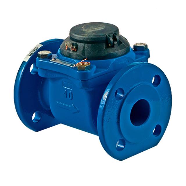 Comment choisir correctement un compteur d'eau dans un appartement: types de compteurs d'eau et leurs caractéristiques, liste des meilleurs fabricants