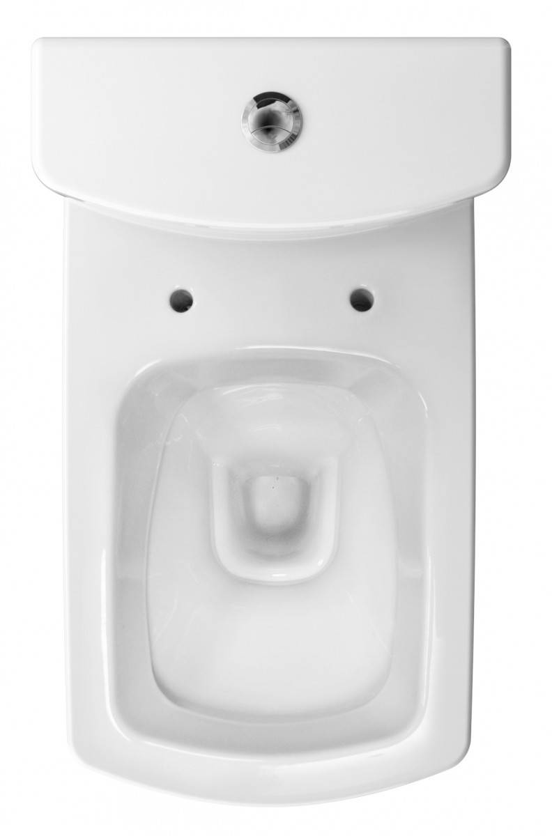 Couvercle de toilette: variétés, conseils de sélection, instructions d'installation