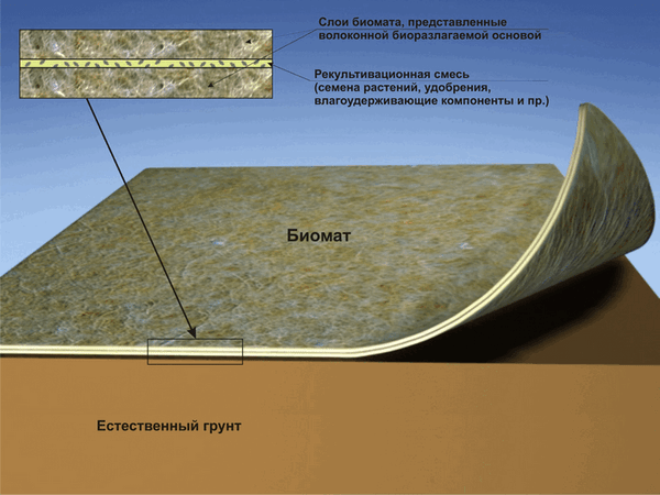 Un aperçu des 5 meilleures façons de renforcer les parois des fossés de drainage