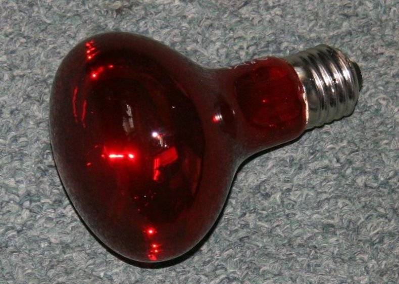 Lampes infrarouges domestiques : comment choisir une ampoule infrarouge + revue des meilleurs fabricants