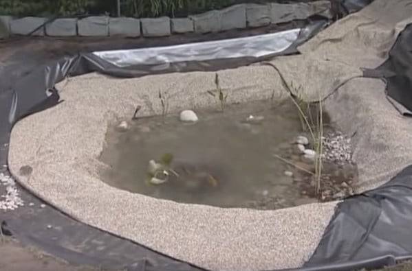 Comment créer un étang de vos propres mains: instructions pour créer et entretenir un étang sur un terrain personnel