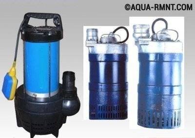 Vue d'ensemble de la pompe "Gnome" - spécifications et avis des consommateurs