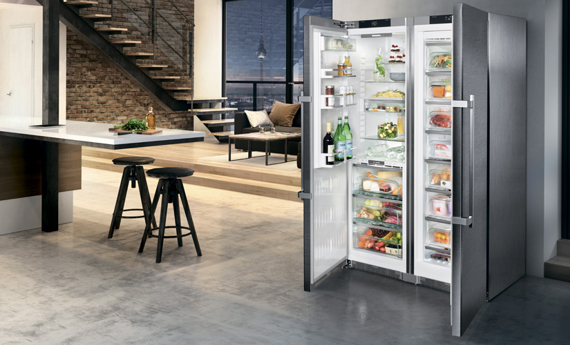 Quel réfrigérateur est le meilleur: samsung ou bosch