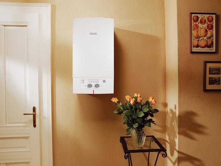 Aperçu des chauffe-eau instantanés d'Electrolux