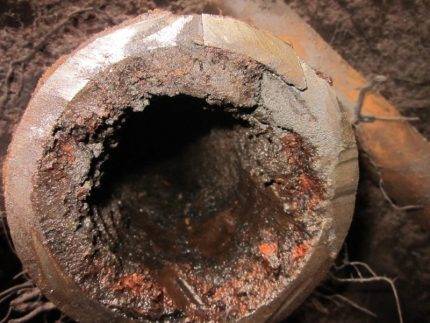 Que faire si les toilettes sont bouchées : comment diagnostiquer un blocage et y remédier