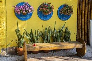 Quel tuyau d'irrigation est préférable de choisir: types populaires + ce qu'il faut rechercher lors du choix