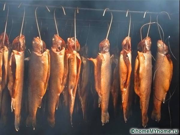 Générateur de fumée à faire soi-même pour un fumoir : options de générateur de fumée et instructions de montage étape par étape