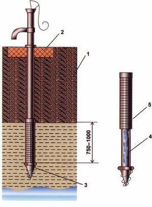 Bien ou bien - qu'est-ce qui est le mieux? Examen comparatif détaillé