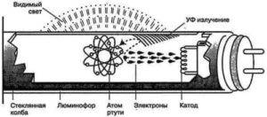 Lampes au mercure : types, caractéristiques + revue des meilleurs modèles de lampes contenant du mercure