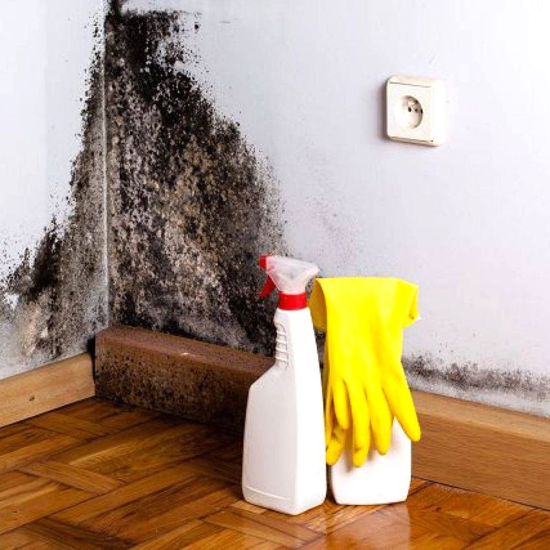 Comment se débarrasser de l'humidité dans une maison privée et à la campagne avec des remèdes populaires (vidéo)