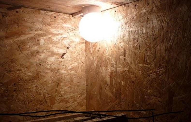 Lampes infrarouges domestiques : comment choisir une ampoule infrarouge + revue des meilleurs fabricants