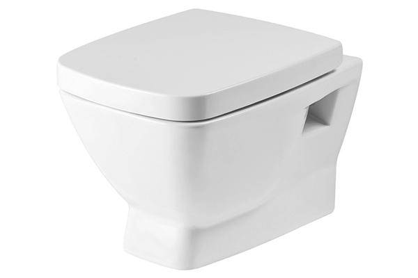 Comment choisir une installation de toilettes : un aperçu des conceptions et des conseils avant d'acheter