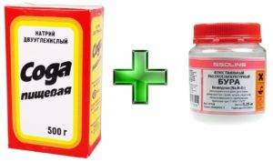 3 remèdes populaires qui peuvent remplacer la lessive en poudre pour une machine à écrire