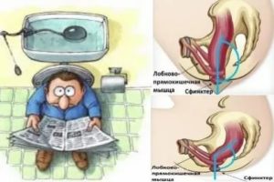 Pourquoi certains hommes restent-ils assis si longtemps sur les toilettes ?