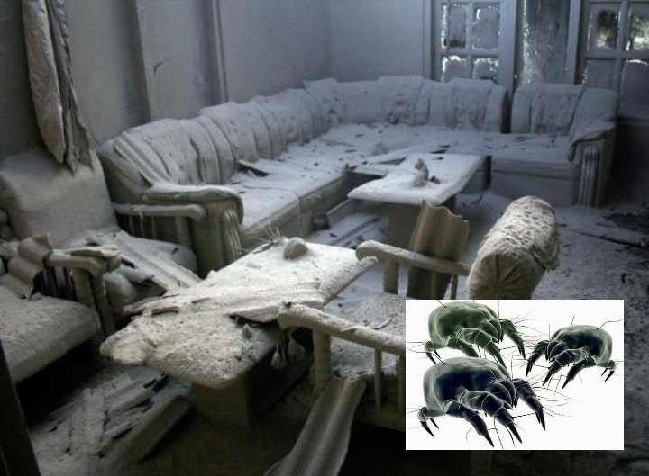 Nous combattons la poussière dans la maison : d'où vient-elle et à quel point est-elle dangereuse pour nous