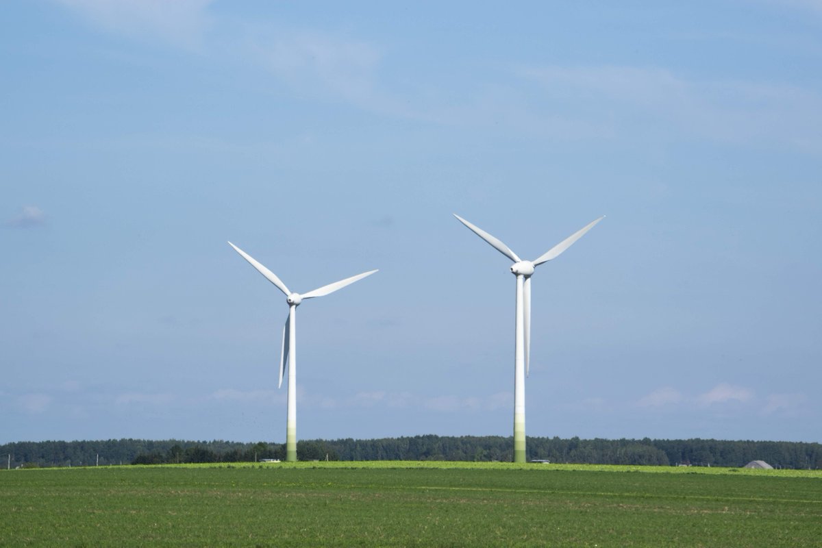 L'Allemagne en a marre de l'énergie éolienne (shinshilo)