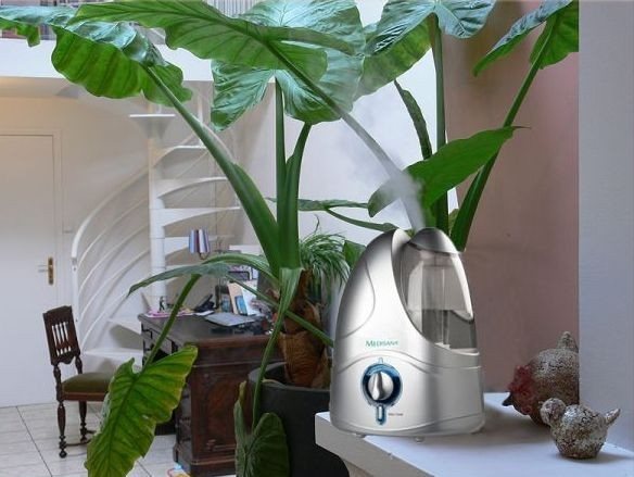 Comment utiliser un humidificateur: les subtilités de fonctionnement et de ravitaillement des appareils climatiques