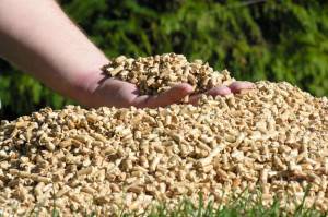 Nous fabriquons du biocarburant de nos propres mains : biogaz à partir de fumier, éthanol pour biocheminée + granulés