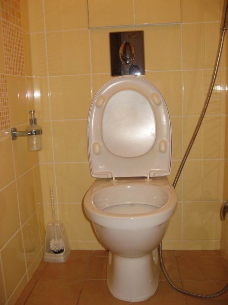 Mari et couvercle de toilette - pays des mères