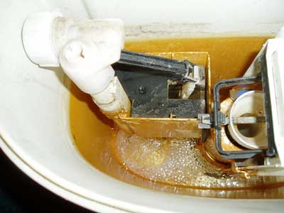 Comment réparer un réservoir de toilette : réparer les pannes les plus courantes