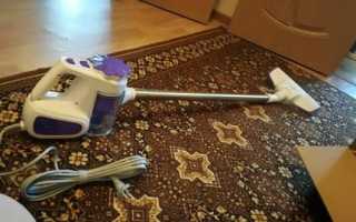 Les meilleurs aspirateurs sans sac Samsung : caractéristiques du modèle + recommandations avant achat