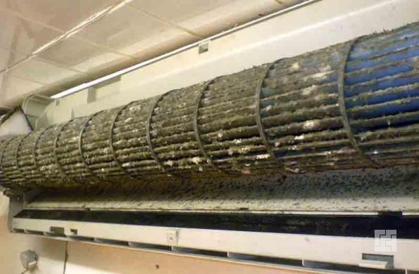 Comment se débarrasser de la moisissure dans la salle de bain : méthodes efficaces