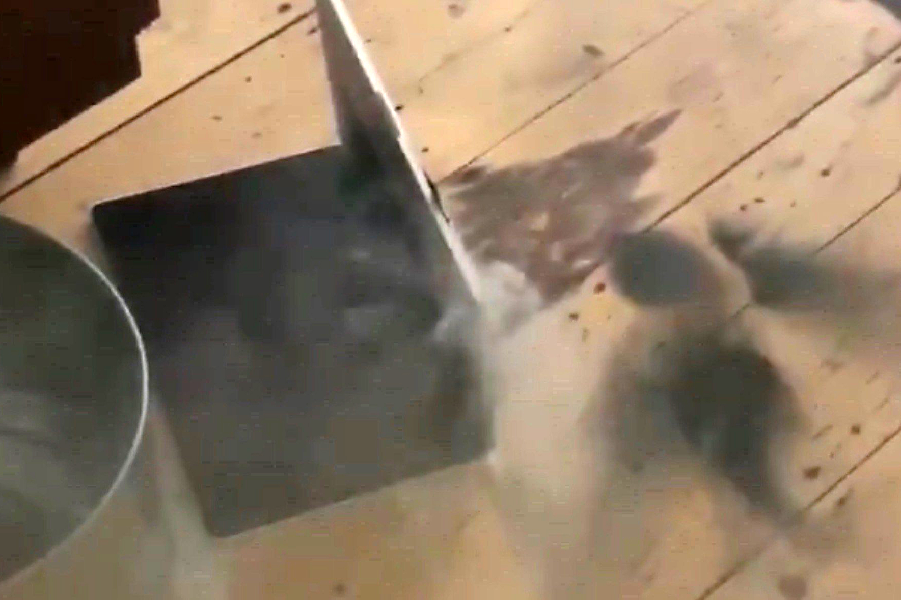 Mauvais présages : 10 signes qui nous avertissent d'un danger