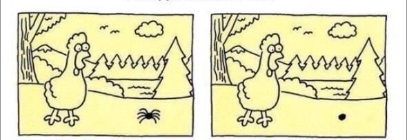 Test de pleine conscience : de quelle couleur sont les boules sur la photo ?