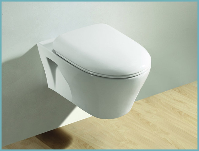 Toilette suspendue avec installation: règles de sélection, avantages et inconvénients d'une telle solution + étapes d'installation