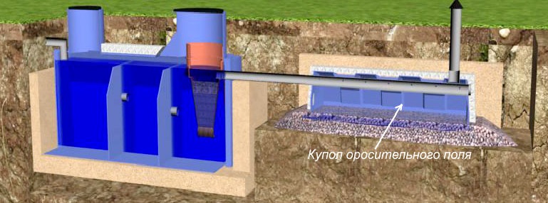 Qu'est-ce qui est mieux, une fosse septique termite ou une fosse ?