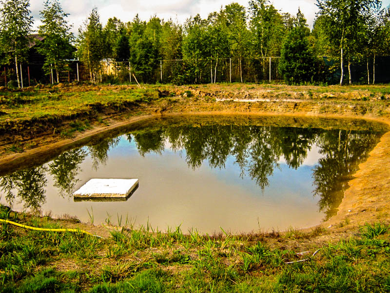 Comment aménager une fosse septique avec un niveau élevé d'eau souterraine: options pour résoudre un problème urgent