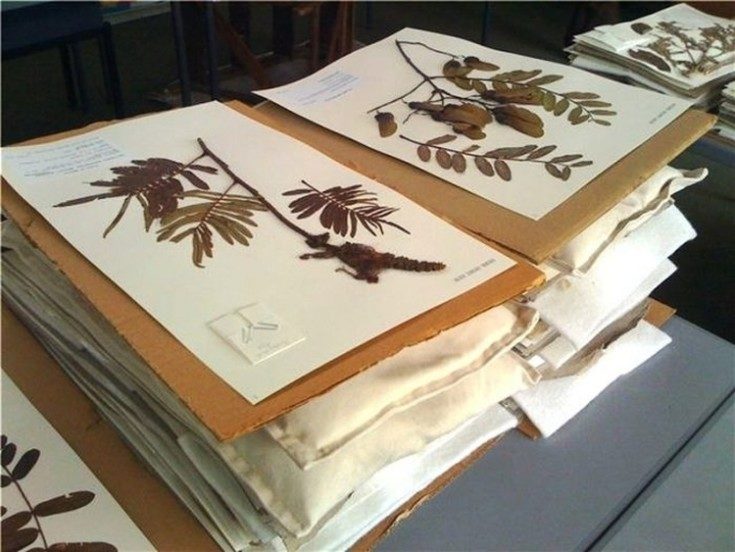 7 endroits les plus poussiéreux de la maison qui doivent être nettoyés en premier