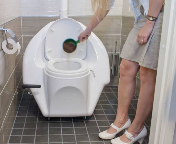 Quel placard sec est le meilleur : liquide ou compost ? Quoi acheter : tourbe ou option chimique