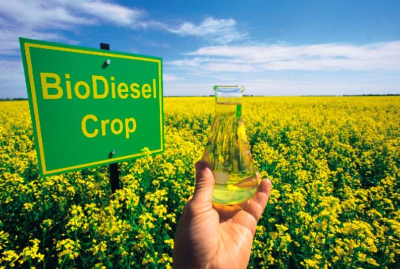 Comment fabriquer du biocarburant de vos propres mains