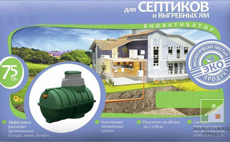 Bactéries pour fosses septiques et puisards à partir d'anneaux en béton: aérobies et anaérobies. biopréparations à faire soi-même: instructions, action, prix, avis