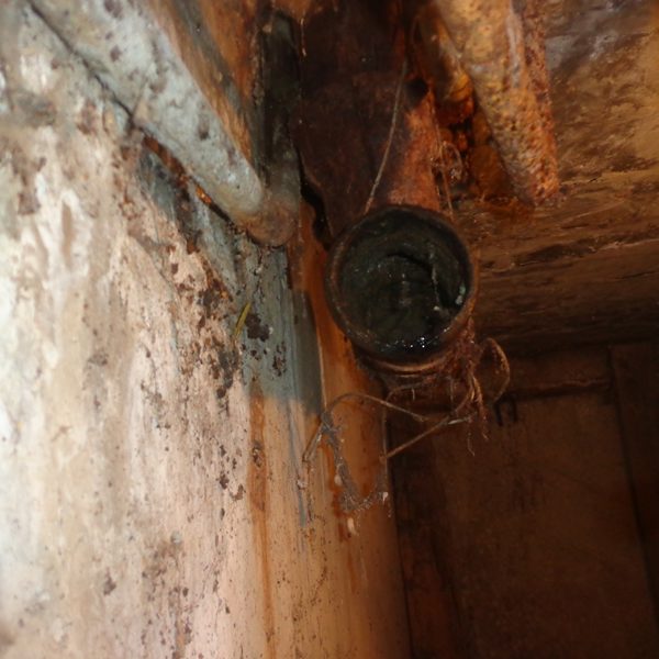 Chaise longue d'égout: qu'est-ce que c'est, remplacement, caractéristiques