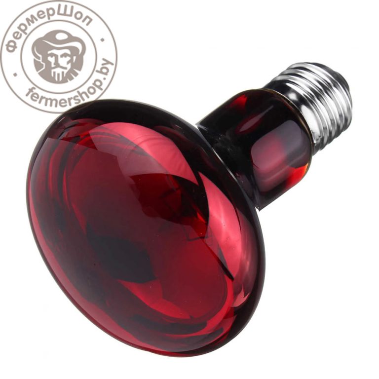 Lampes chauffantes infrarouges : lampes thermiques chauffantes infrarouges pour le logement et la maison