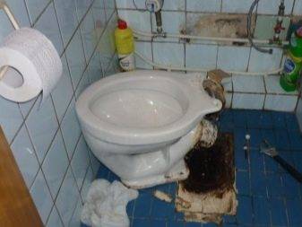 Fixation des toilettes au sol : un aperçu des méthodes possibles et des instructions étape par étape